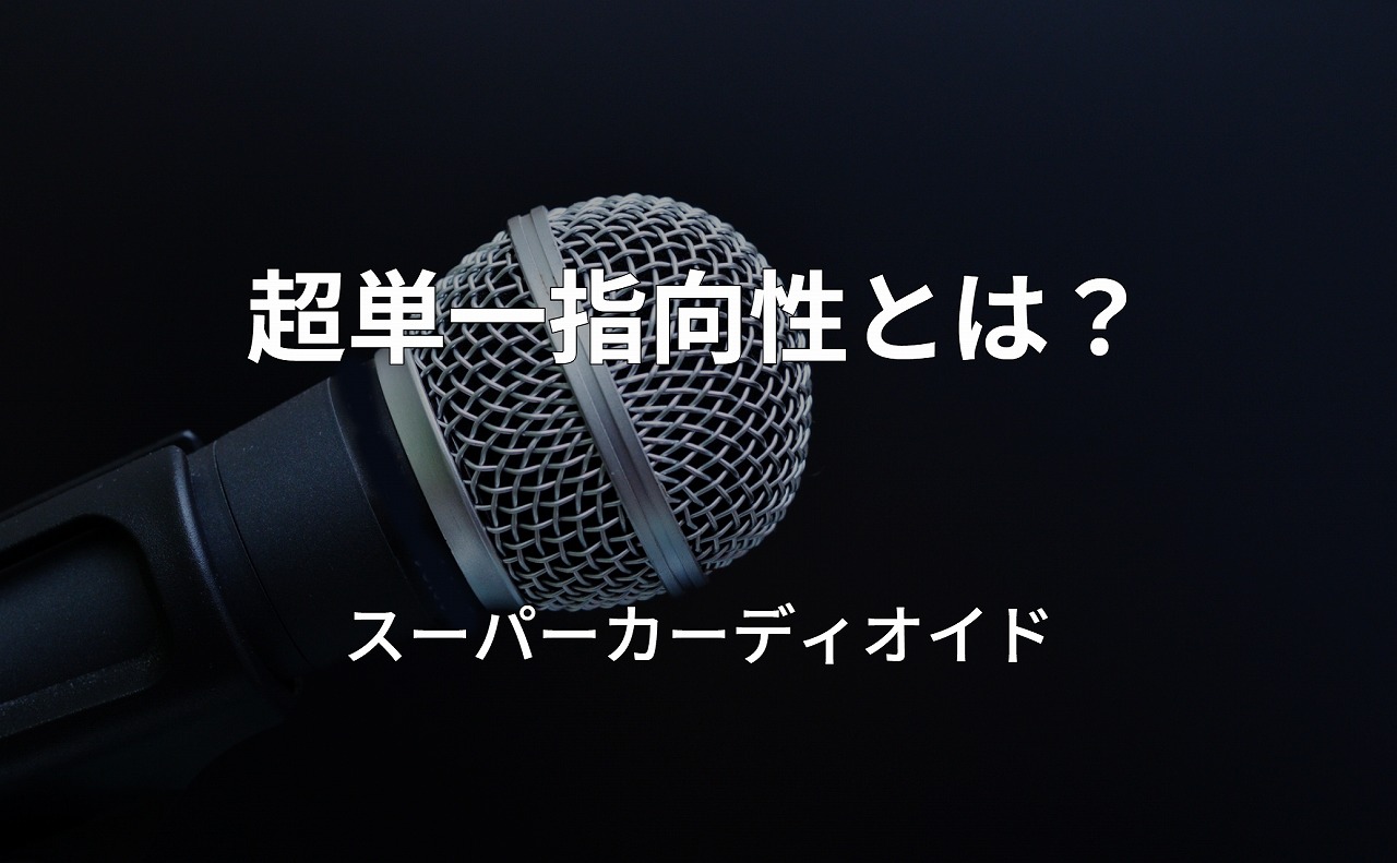 ゼンハイザー SENNHEISER ダイナミックマイク e945 単一指向性 - 配信