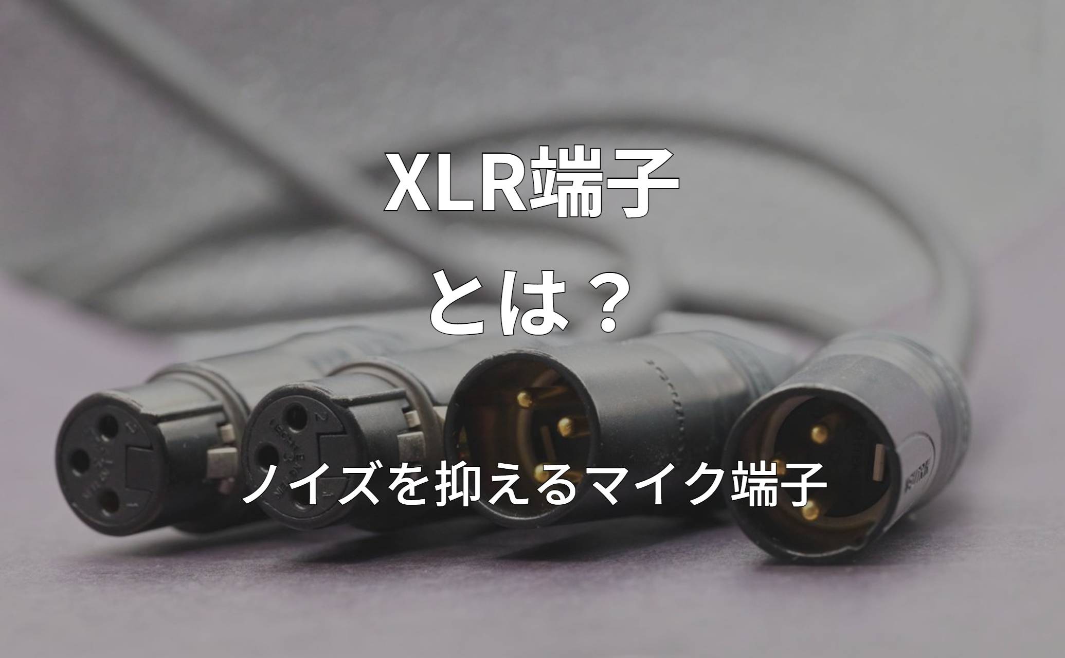 XLR端子とは？